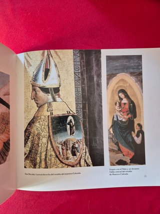 Libro sobre Torremormojon