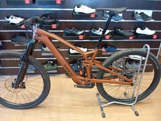 Trek Fuel Exe