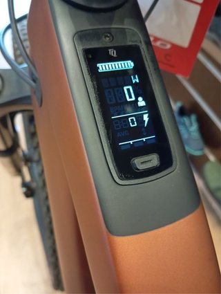 Trek Fuel Exe