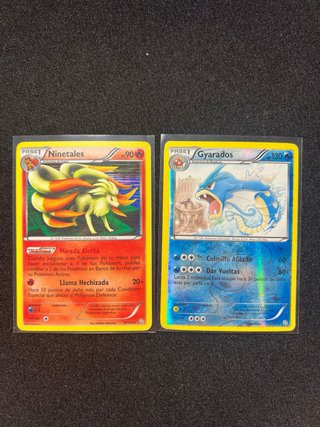 Ninetales y Gyarados Dragon Exalted