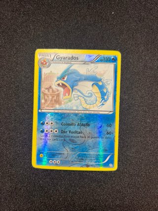 Ninetales y Gyarados Dragon Exalted