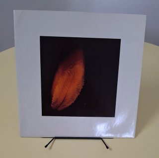 Lote Vinilos Phil Collins / Peter Gabriel