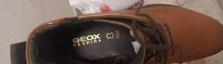 Botas Geox Marrones Hombre