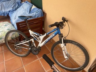 Lote 2 bicis, patines, skate, scooter y waveboard