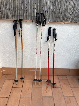 Palos de esquí