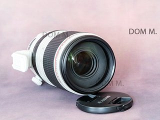 Canon EF 100-400mm f/4.5-5.6L IS II USM
