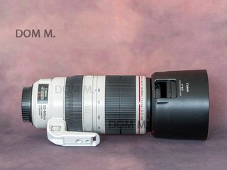 Canon EF 100-400mm f/4.5-5.6L IS II USM