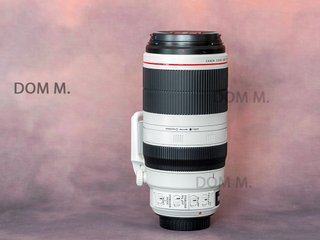 Canon EF 100-400mm f/4.5-5.6L IS II USM