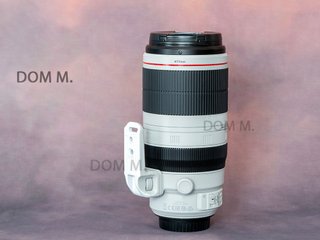 Canon EF 100-400mm f/4.5-5.6L IS II USM