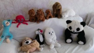 Lote de peluches variados