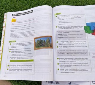 Lengua Castellana y Literatura 5, Tercer Ciclo ...