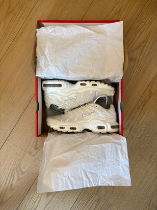 Nike Air Max Plus