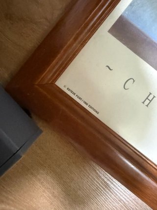 Cuadro Tintín / Esteve Fort Ed. Limitada 1000
