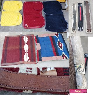 Lote Premium Hípica Sartore Comancheros Tattini