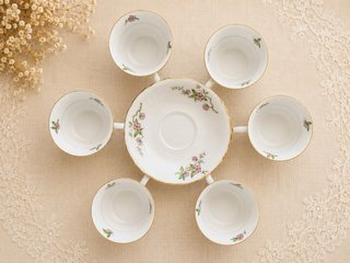 Limoges Juego de porcelana con pájaros