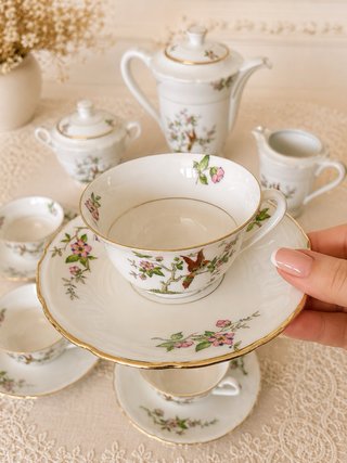 Limoges Juego de porcelana con pájaros