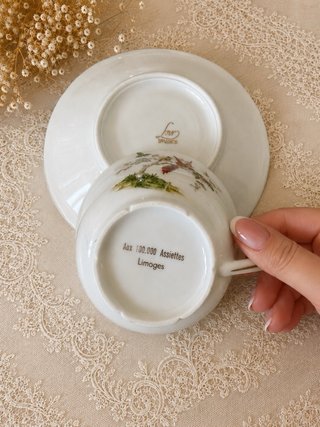 Limoges Juego de porcelana con pájaros