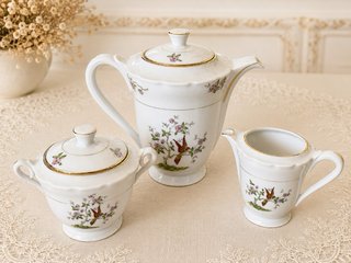 Limoges Juego de porcelana con pájaros