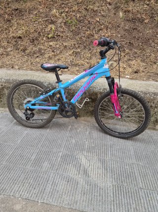 Bicicleta Montaña Niña Azul/Rosa