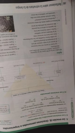 Lengua Castellana Y Literatura 2 Eso Comunidad ...