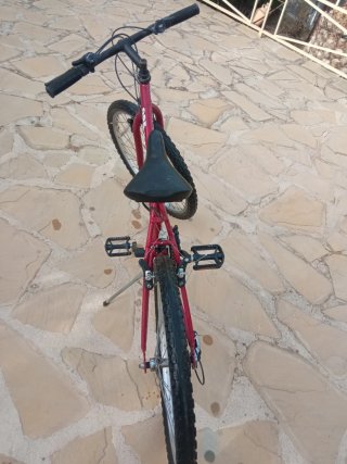 Bicicleta speed