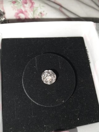 Lote charms Pandora plata y perlas circonitas