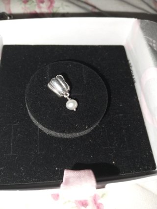 Lote charms Pandora plata y perlas circonitas