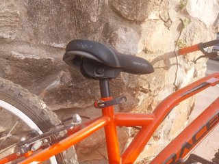 Bicicleta niño color Naranja.