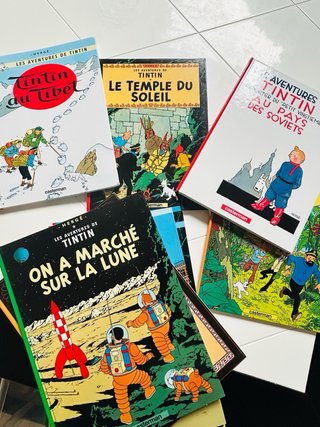Lote 15 cómics Tintín en francés
