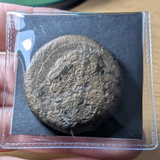 Hemidracma Ptolomeo II Egipto 285-246 a.C.