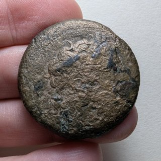 Hemidracma Ptolomeo II Egipto 285-246 a.C.