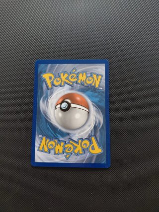 Carta Pokémon Froakie Holo 25 Aniversario McDonald