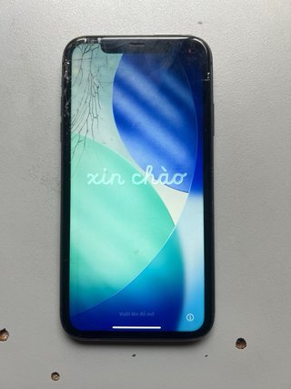iPhone 11 256GB