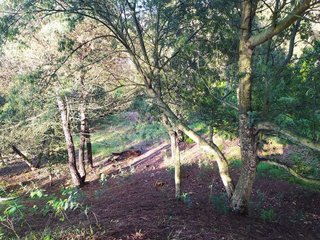 Terreno en venta en Urbanitzacions en Lloret de Mar