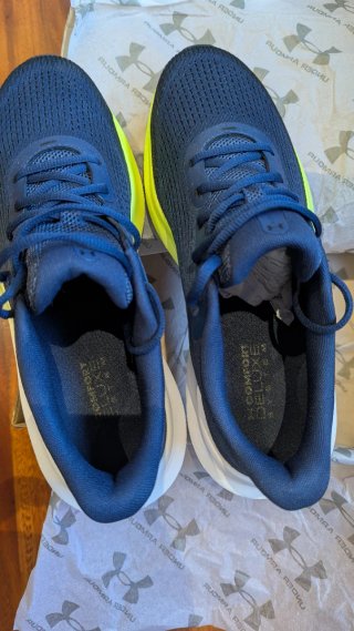 Zapatillas Under Armour Charged Rogue 5 Talla 45