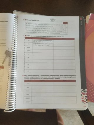 Valencià, Llengua i literatura, 4