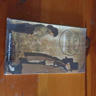 Lote 11 libros lectura en inglés