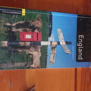 Lote 11 libros lectura en inglés