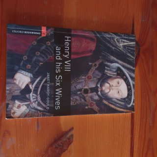 Lote 11 libros lectura en inglés