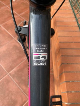 Bicicleta Montaña Megamo 24 Buen Estado