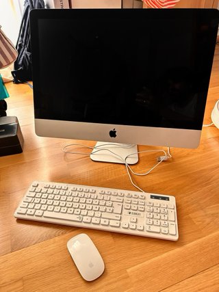 Apple Imac 21,5 2010