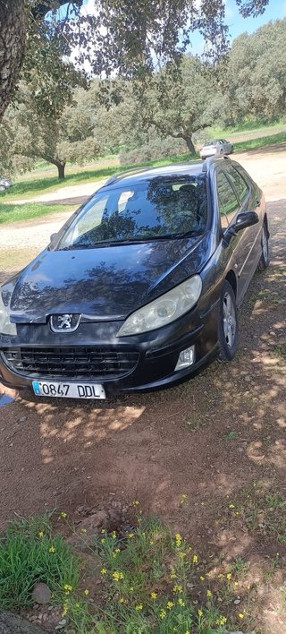 Peugeot 407 2006