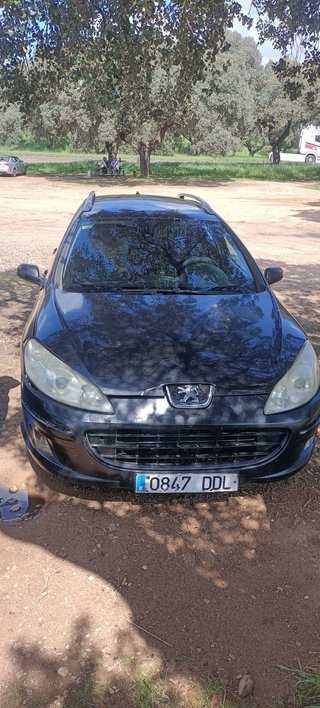 Peugeot 407 2006