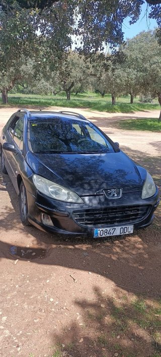 Peugeot 407 2006