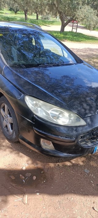Peugeot 407 2006