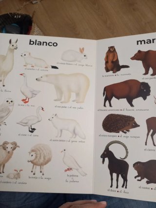 Imaginario de colores de animales