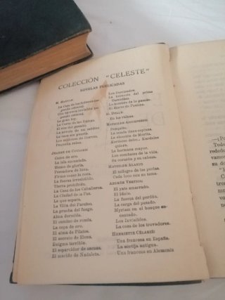 Novela El Diario de Paulina de Jeanne de Coulomb