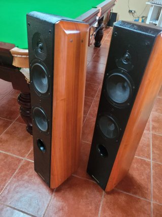 Altavoces Sonus Faber Gran Piano