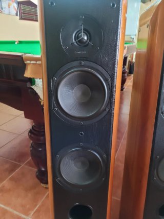 Altavoces Sonus Faber Gran Piano