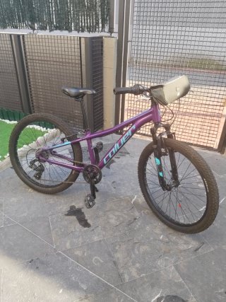 Bicicleta montaña 24 pulgadas